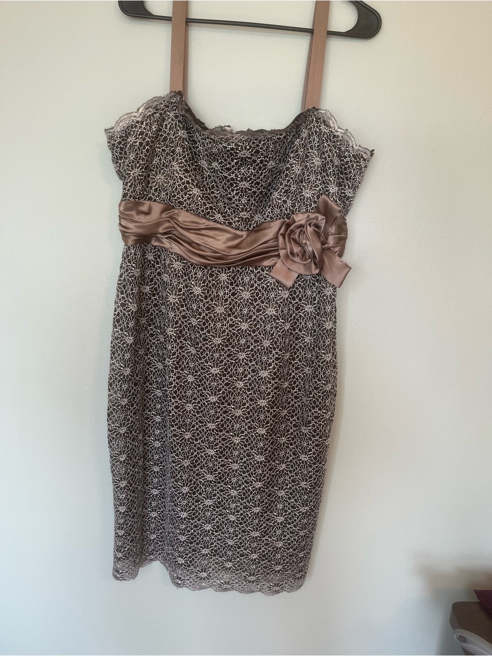 R&M Richards Taupe Lace Midi Dress with Satin Waist Rose wedding guest Y2K